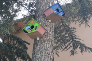 Minik ellerden doğal yaşama sanat dolu armağanlar