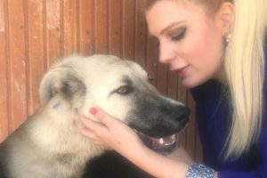 Çekicinin arkasına bağlanarak sürüklenen köpekten iyi haber