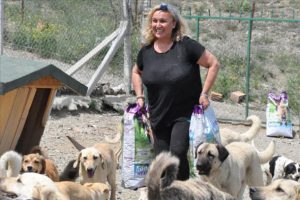 Kiraladığı araziye sokak köpekleri için barınak kurdu