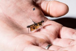 Güney Kore hayvan görünümünde askeri robotlar geliştiriyor