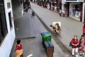 Kaldırımda yürüyen yayalara at çarptı