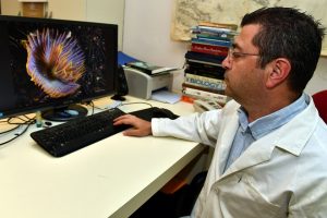 İzmir Körfezi'nde 'boru kurdu' bulundu