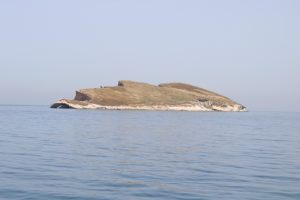 Atatürk Adası'na büyük ilgi