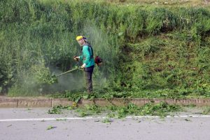 Bursa Mudanya'da yaz temizliği sürüyor