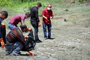Ayvalı baraj gölünde toplu balık ölümleri korkuttu