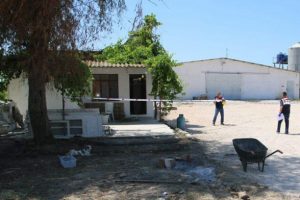 Manisa'daki çiftlik cinayetiyle ilgili 4 kişiye gözaltı