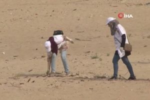 Binlerce kişi sahillerdeki çöpleri topladı