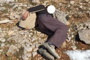 Karşısında ekipleri görünce uyuyor numarası yaptı