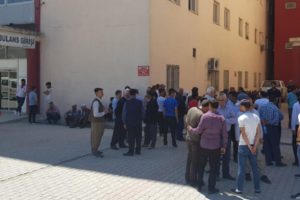 Ot toplarken canından oldu