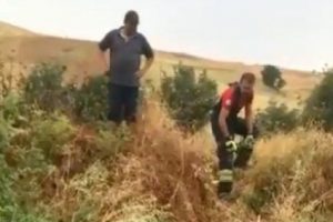 Mahsur kalan yavru köpekleri itfaiye kurtardı