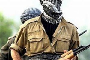 Van'da 2 terörist etkisiz hale getirildi
