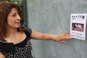 Bursa'da kendisine emanet edilen kedi firar etti, para ödülüyle sokak sokak arıyor