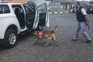 Patlayıcı madde ve bomba uzmanı köpeklerin gösterisi beğeni kazandı