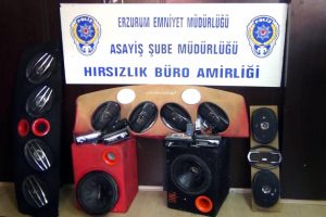 Hırsızlık şüphelisi sevgililer yakalandı