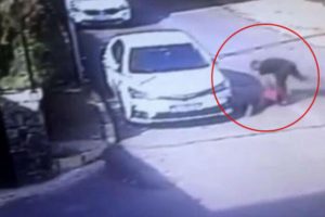 Erik çekirdeği dayağı zanlısı ilk duruşmada serbest bırakıldı