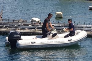 Zabıta'dan gölde ördek kurtarma operasyonu