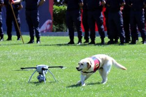 Jandarmanın dedektör köpeklerinin gösterisi ilgi çekti