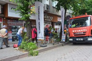 Ihlamur toplamak için çıktığı ağaçtan düştü, vatandaş bakın ne yaptı!