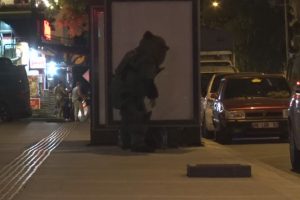 Otobüs durağına bırakılan şüpheli çanta fünye ile patlatıldı