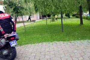 Polis, köpek hırsızlarını böyle kovaladı