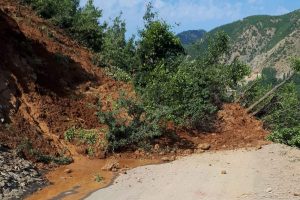 Devrilen ağaçlar yolu ulaşıma kapattı