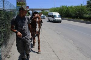 Askere gitmek için atıyla beraber yola çıktı