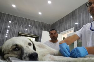 Bursa'da vicdansız sürücü çarpıp olay yerinde bıraktı!