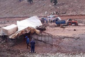 Elmalı'daki selde 11 küçükbaş telef oldu