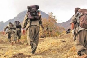 Tunceli'de 4 terörist etkisiz hale getirildi