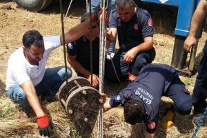Kuyuya düşen ineği itfaiye kurtardı
