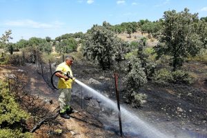 Çanakkale'de, 6 dönüm makilik küle döndü