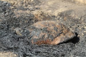 Alanya'da 5 dönümlük orman arazisi kül oldu