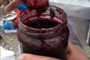 Reçel kavanozundan uyuşturucu çıktı