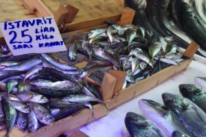 Bursa'daki balık tezgahlarında son durum ne?