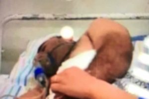 Bursa Ulu Cami saldırısının azmettiricisi Suriye'de ağır yaralandı