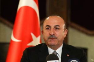 Bakan Çavuşoğlu'ndan Buric'e tebrik