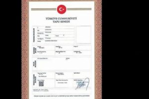 'Tapu'da yeni dönem! Resmi senetlerin üzerine fotoğraf yapıştırılması şartı kaldırıldı
