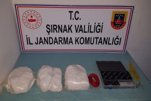 Üst düzey devlet yöneticilerine saldıracaklardı, planları bozuldu