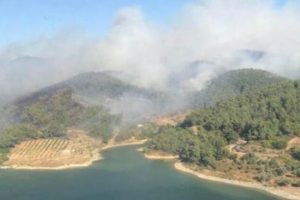 İzmir Orman Bölge Müdürü'nden 'mangal ateşi' uyarısı
