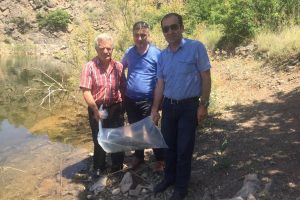 Gölete sazan yavrusu bırakıldı