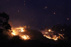 Muğla'daki orman yangını kontrol altına alındı