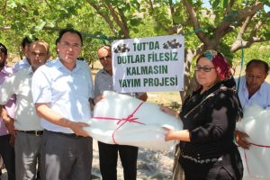 Dut üreticilerine dut filesi