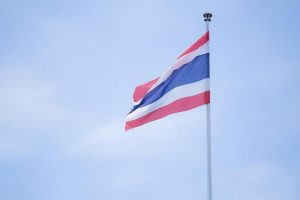 Tayland'da eğitim uçuşu yapan savaş uçağı düştü