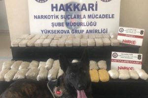 29 kilo uyuşturucu ele geçirildi
