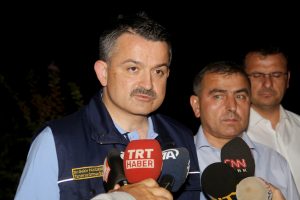 Bakan Pakdemirli: Yangın kontrol altında