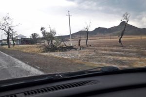 Gürcistan'a taş büyüklüğünde dolu yağdı