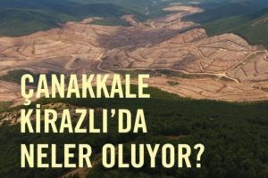 Çanakkale Kirazlı'da uydulara göre; söylenenin 4 katı (195.000*) ağaç kesildi! İşletme durdurulsun kampanyası