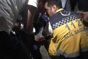 Kardeş kavgası kanlı bitti