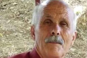 Üzerine tomruk düşen kişi can verdi!