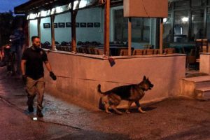'Torbacı' operasyonunda 8 kişiye tutuklama
